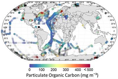 Comparison of ocean-colour algorithms for particulate organic carbon in global ocean